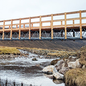 Bridges
