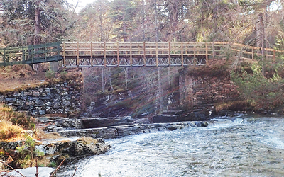 FLI's Ranger Footbridge in upland Forest location