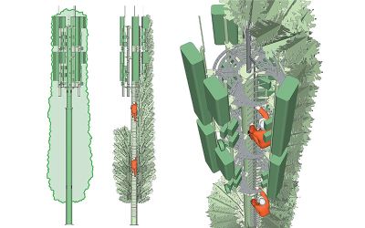 Climbing a fake tree cell phone tower