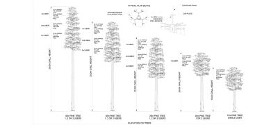 FLI Pine Tree Planning Drawings